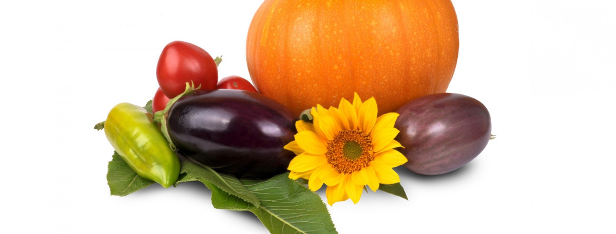 vegetables banner